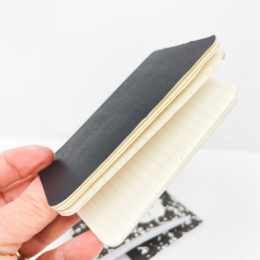 Teeny Notebooks Trio Bundle
