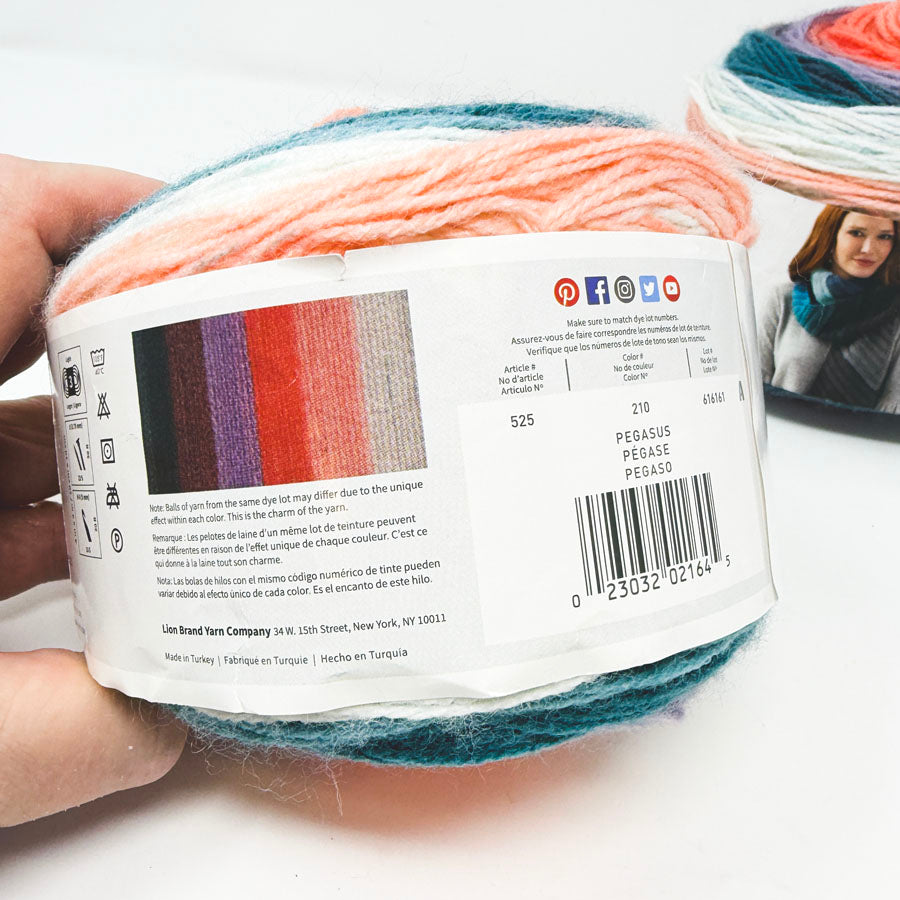 Pegasus - Lion Brand Mandala Yarn (1)