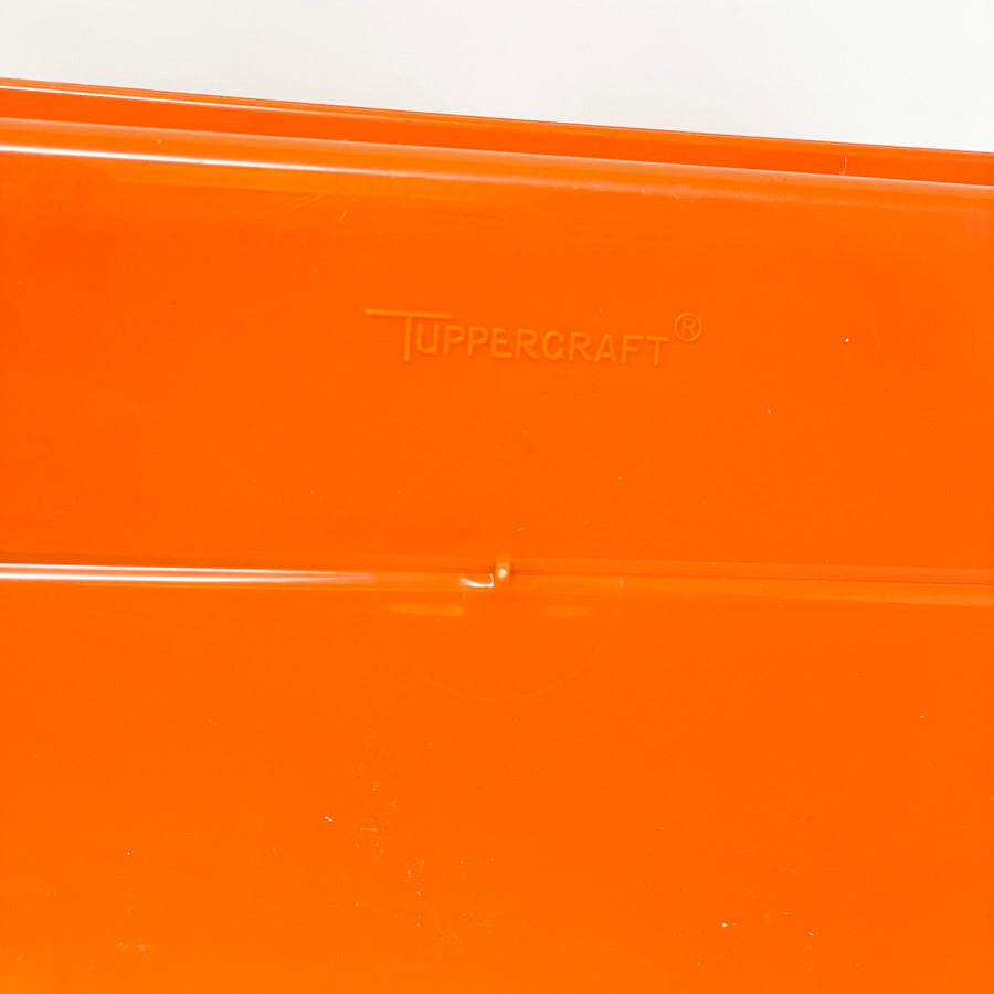 Tintage Tupperware Tuppercraft Trays (Trays Only - No Box)