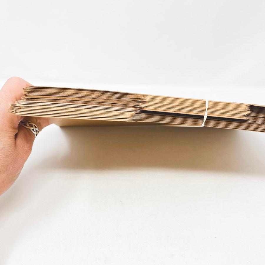 Brown Kraft File Folders - 25 ct