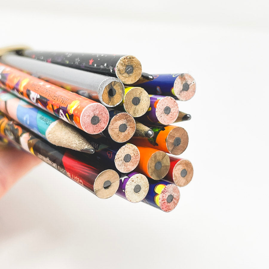 Novelty Pencil Bundle