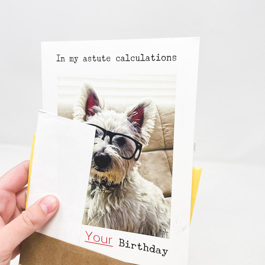 Assorted Dog Cards and Envelopes