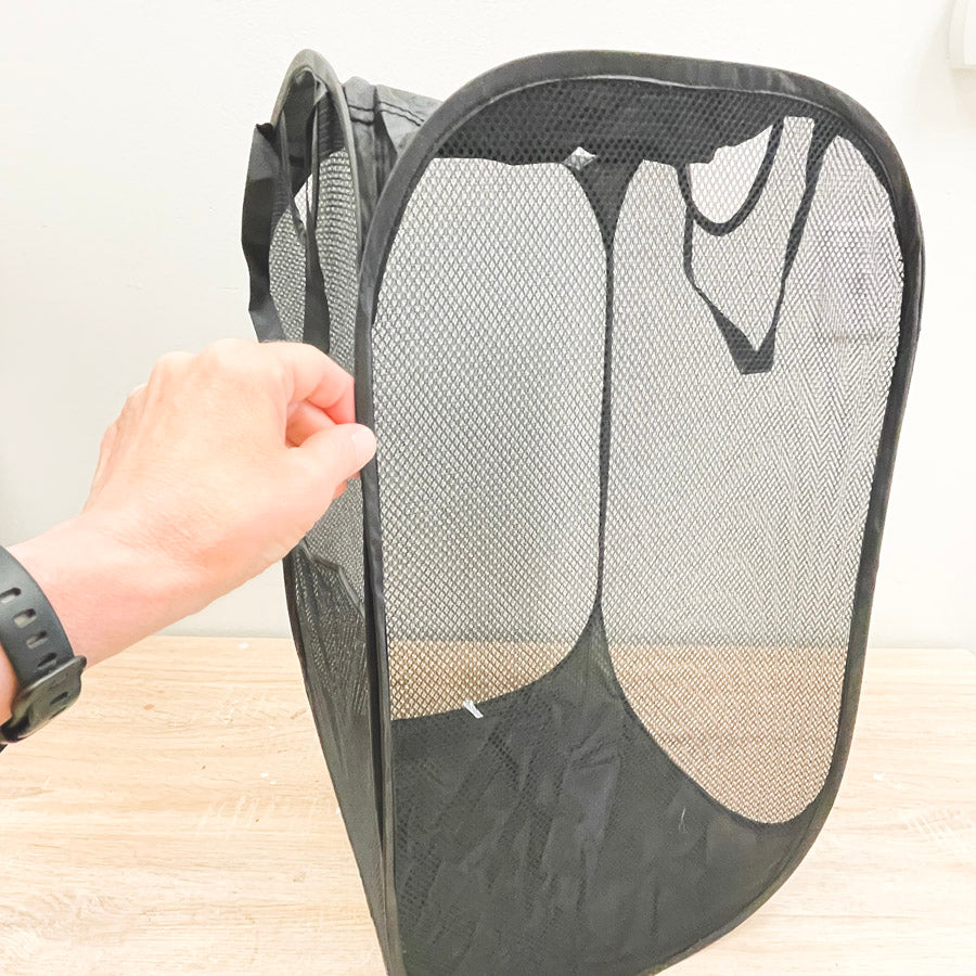 Pop Up Laundry Hamper