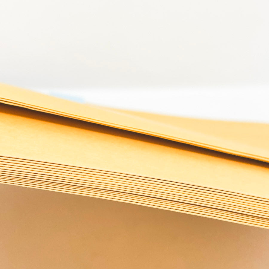 Manilla Clasp Envelopes 17 count, assorted sizes
