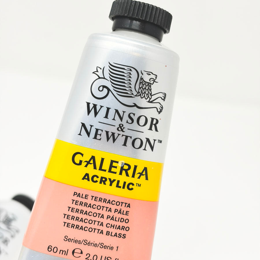 Winsor & Newton Galeria Acrylic Paint - 60ml Tubes