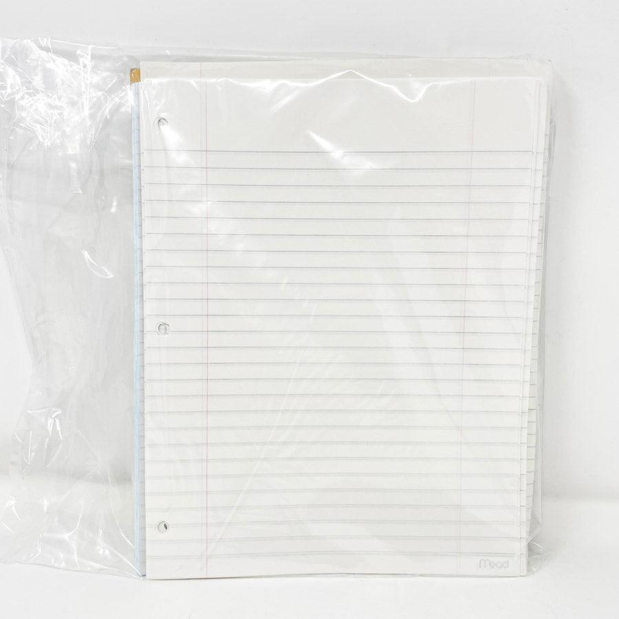 Ruled and Graph Paper Bundle