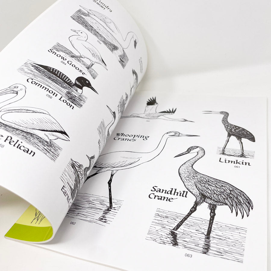 Wetlands Plants and Animals Book