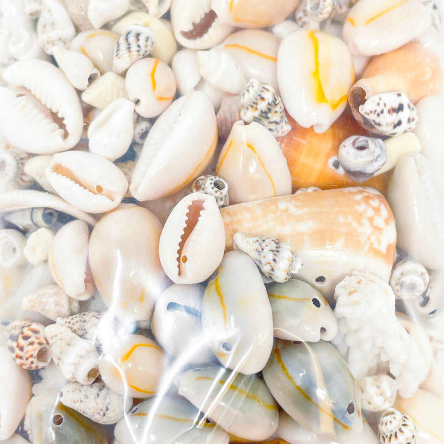 Bag of Shell Beads