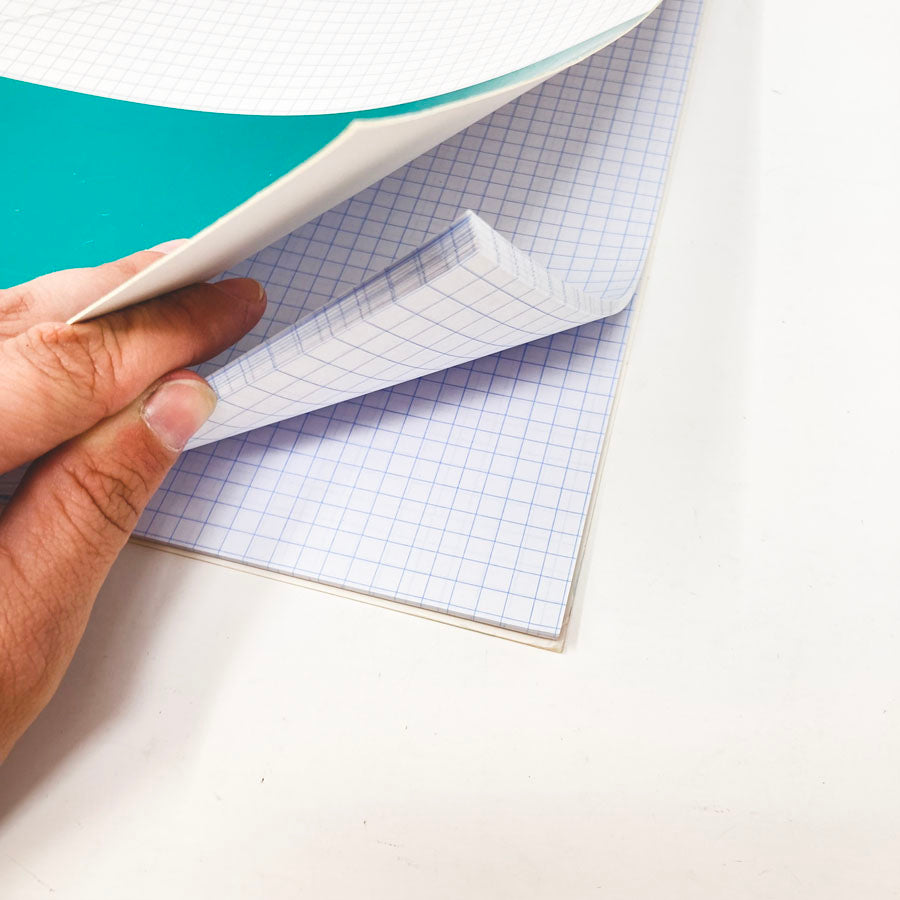 Dual Grid Graph Paper Notebook