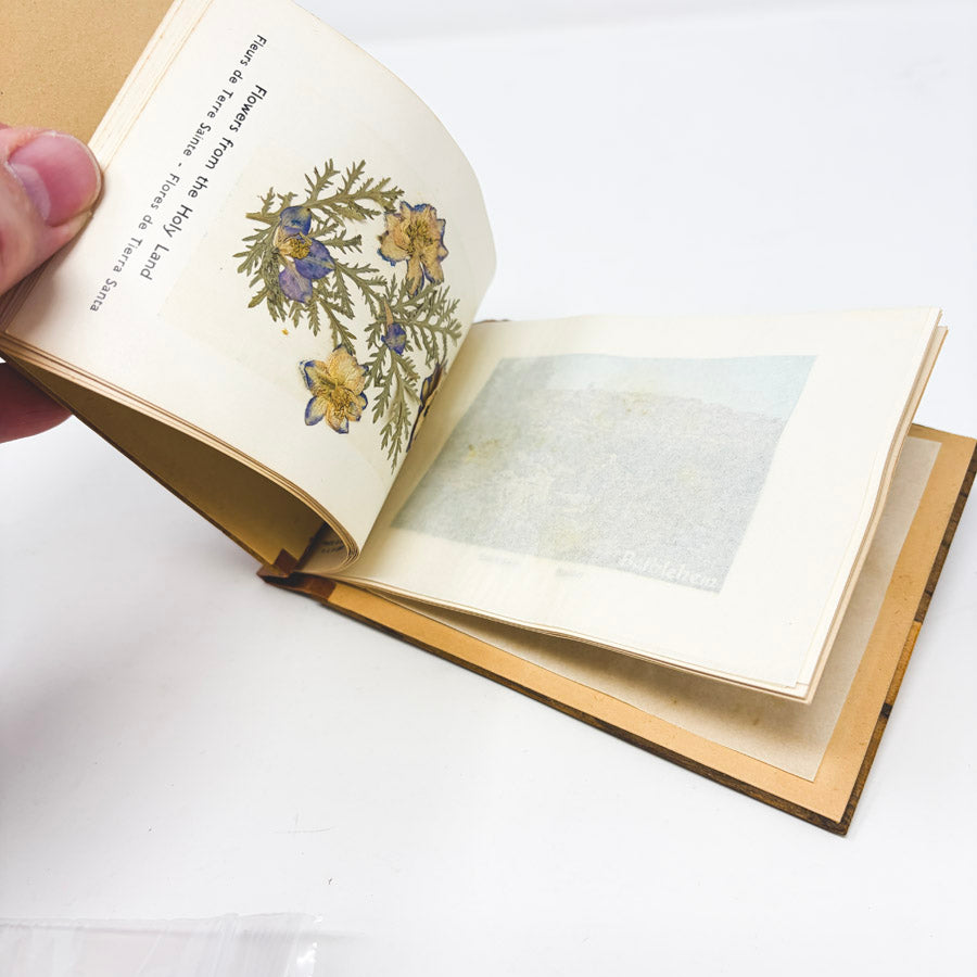 Vintage "Views and Pressed Flowers of the Holy Land" Wood Covered Book