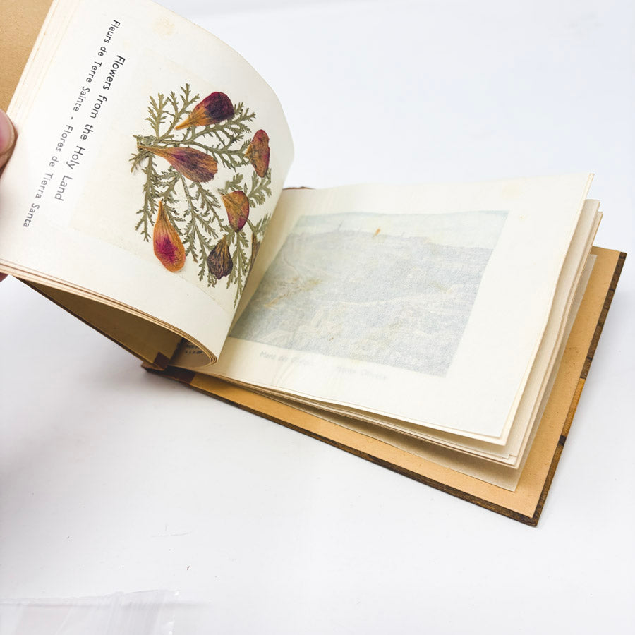 Vintage "Views and Pressed Flowers of the Holy Land" Wood Covered Book
