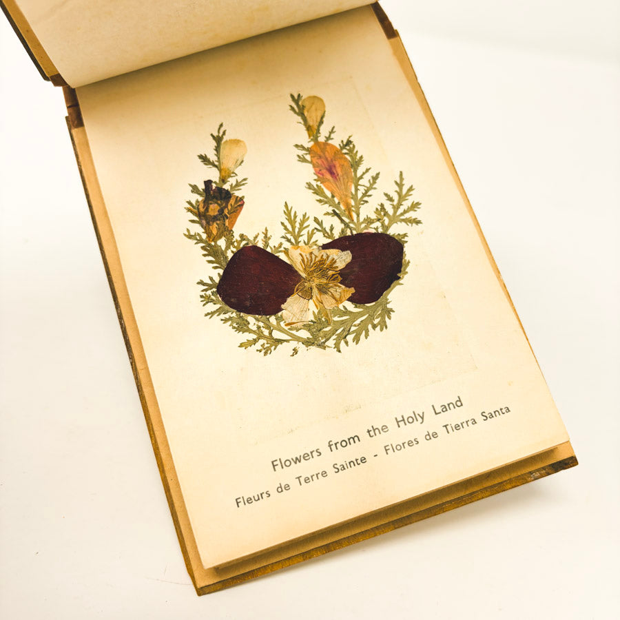 Vintage "Views and Pressed Flowers of the Holy Land" Wood Covered Book