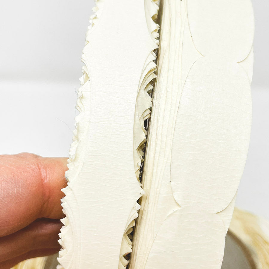 Decorative Edge Masking Tape Bundle