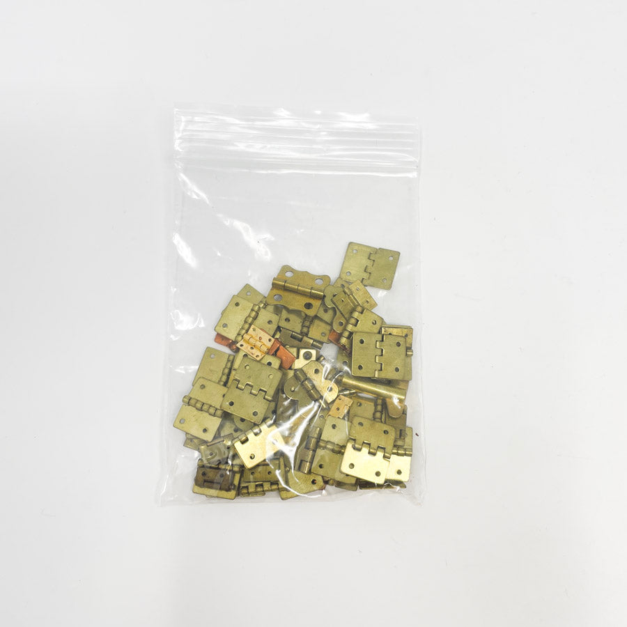 Brass Small Hinge Bag