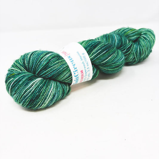 Knit Circus Wool Yarn – Spruced Up Speckle
