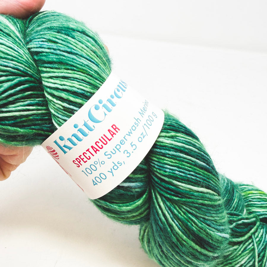 Knit Circus Wool Yarn – Spruced Up Speckle