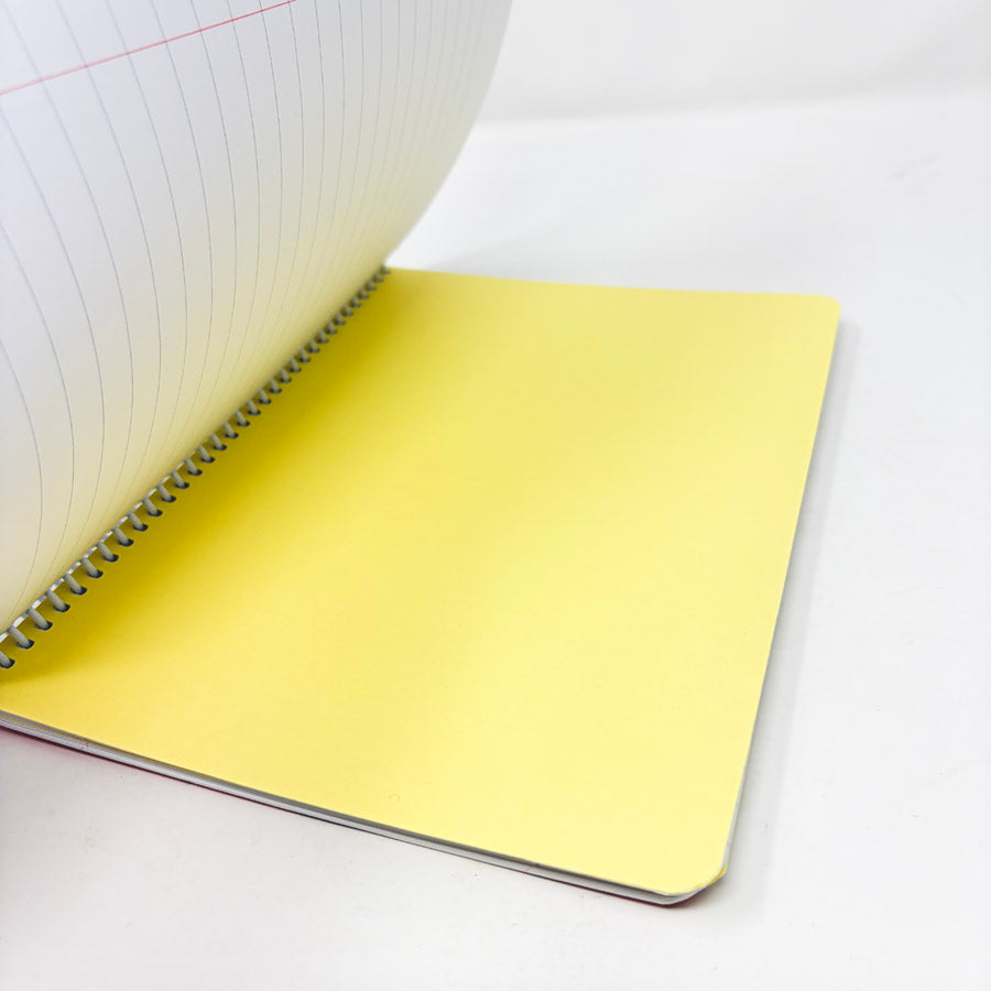 Spiral Bound Pink Skull Journal