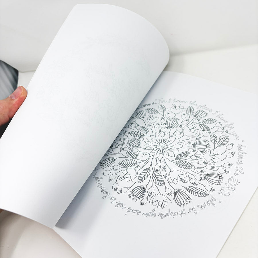 Beauty In The Bible Coloring Book