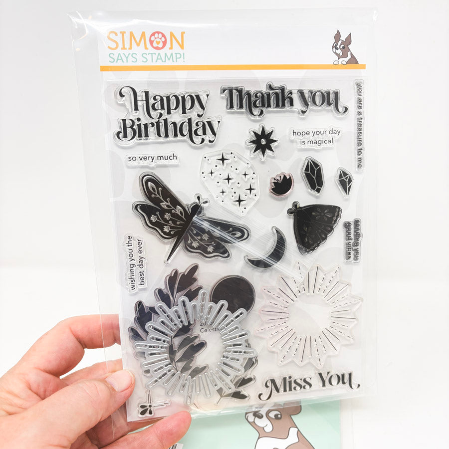 Simon Says Stamp Stamp and Die Sets (1)