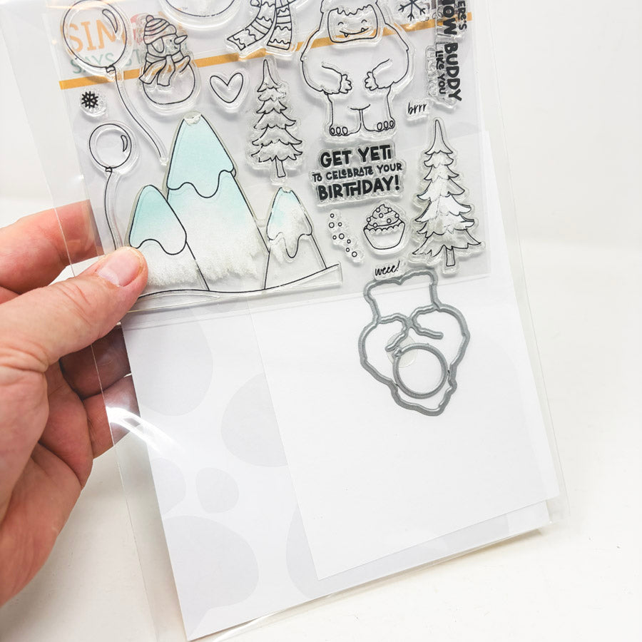Simon Says Stamp Stamp and Die Sets (1)