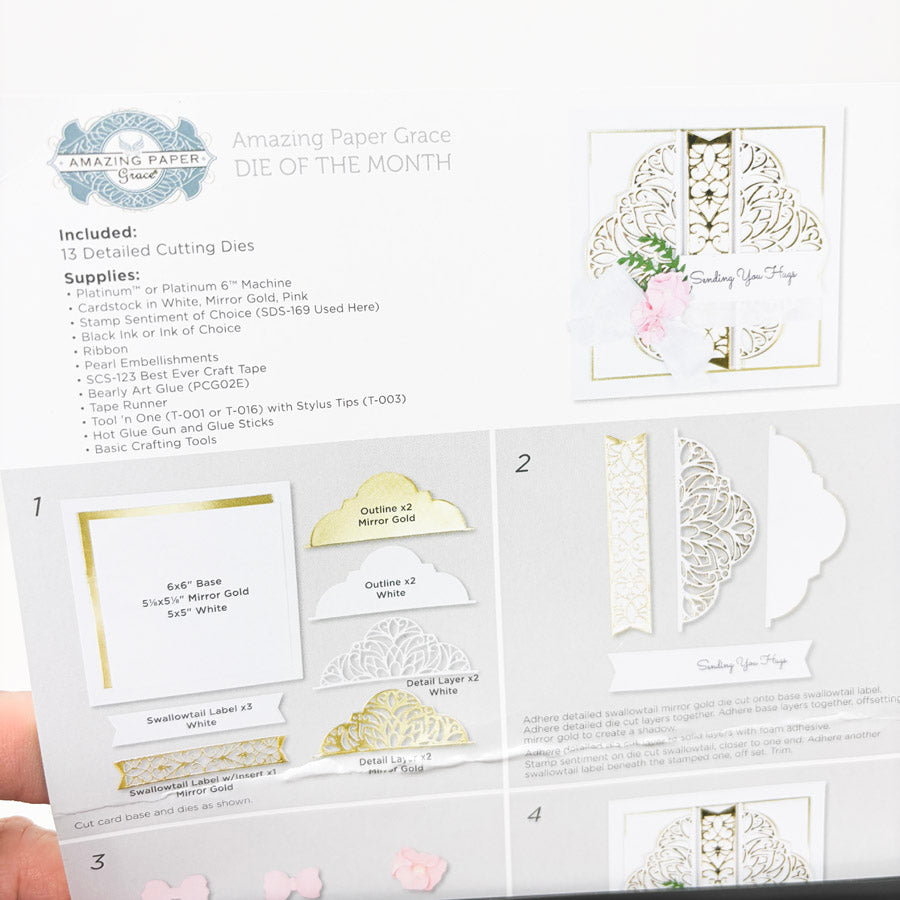 Spellbinders Club Die of the Month Sets - Amazing Paper Grace
