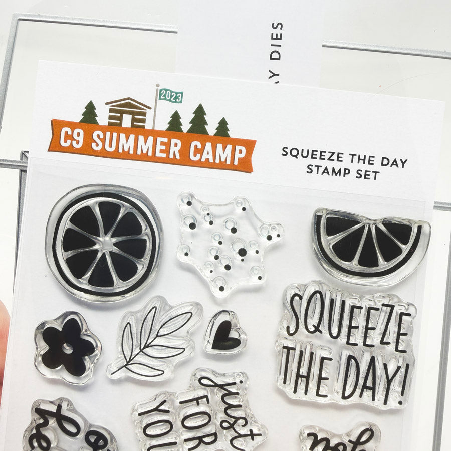 C9 Summer Camp Stamp and Die Set - Squeeze the Day