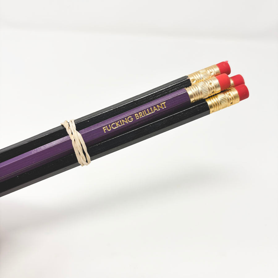 Inspiring F-Bomb Pencil Bundle