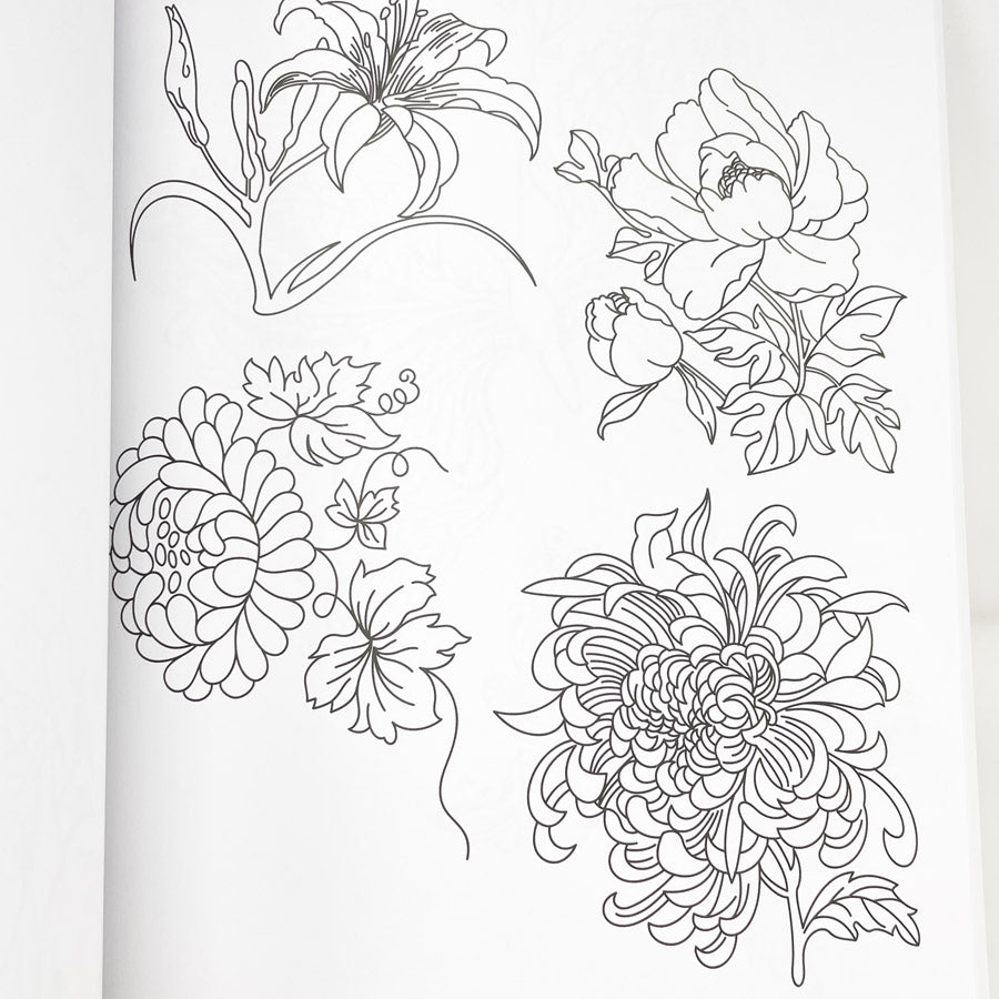 Colorama Coloring Book with Pencils