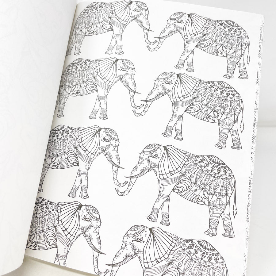Living Wonders Color Art for Everyone Coloring Book