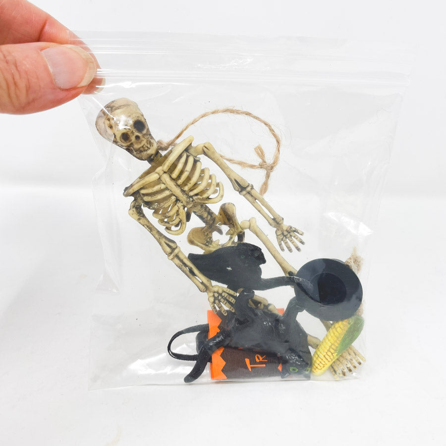 Skeleton Trick or Treat Bundle