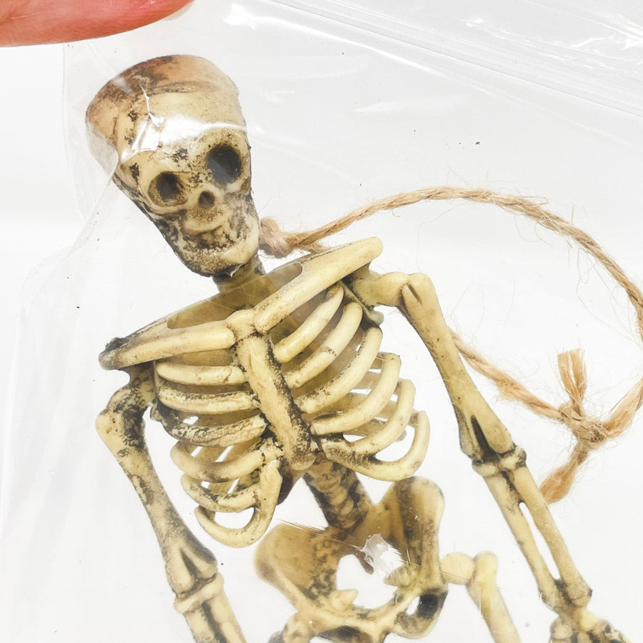 Skeleton Trick or Treat Bundle