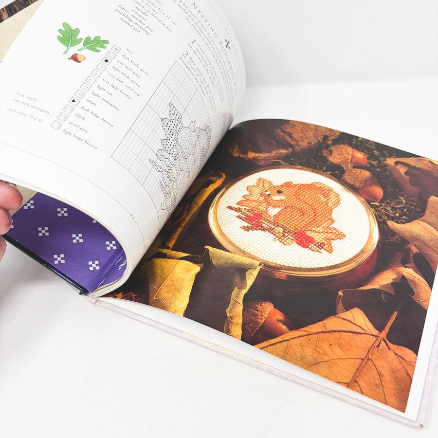 30 Cross-Stitch Designs Book