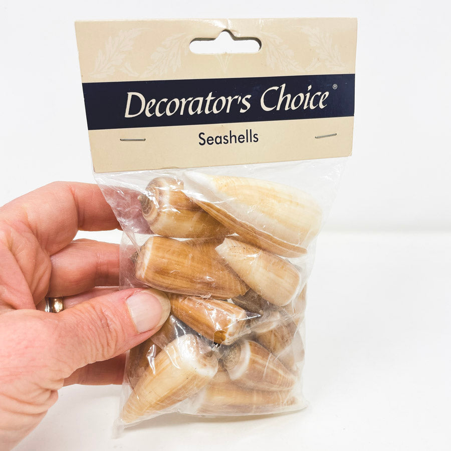 Decorators Choice Seashells