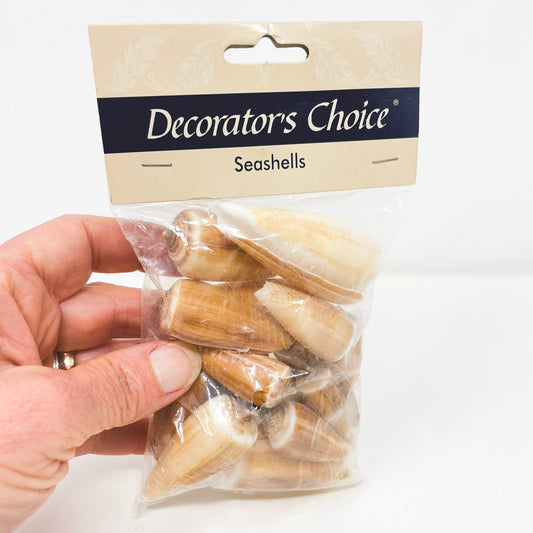 Decorators Choice Seashells