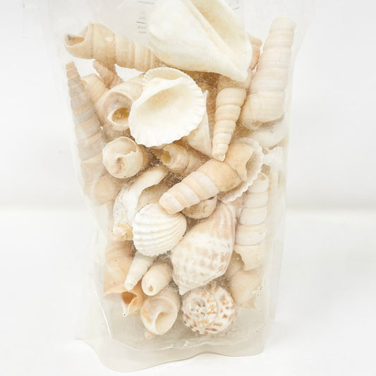 Accents Bag of Assorted Shells