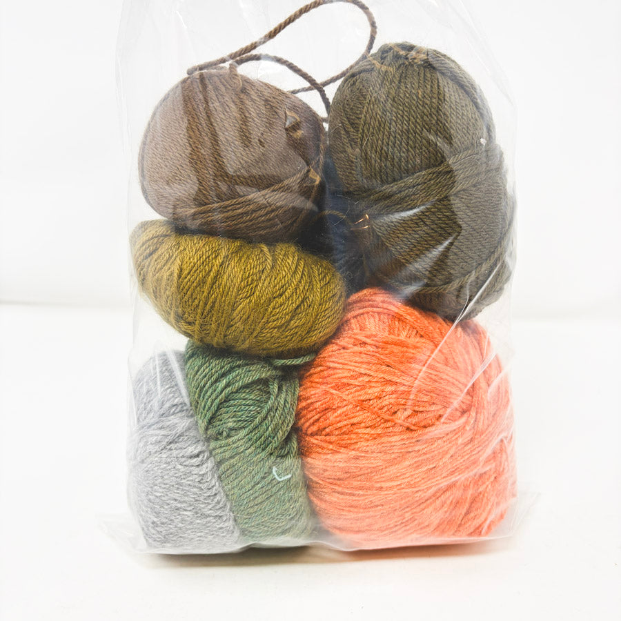 Door County Dreams Yarn Bundle