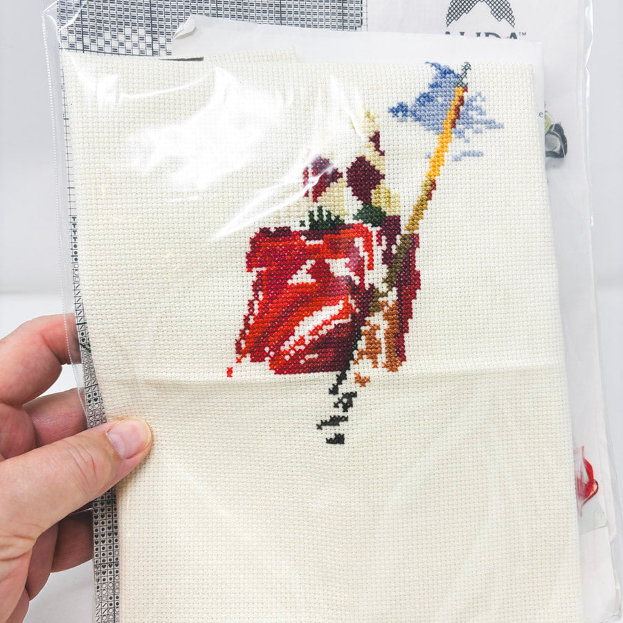 Janlynn Easy Putt Stocking Cross Stitch Kit (Started)