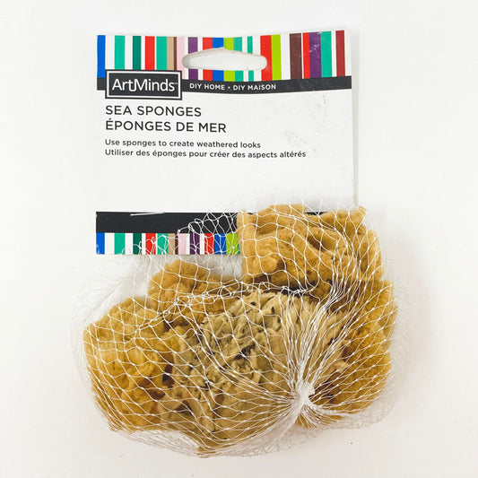 ArtMinds Sea Sponges