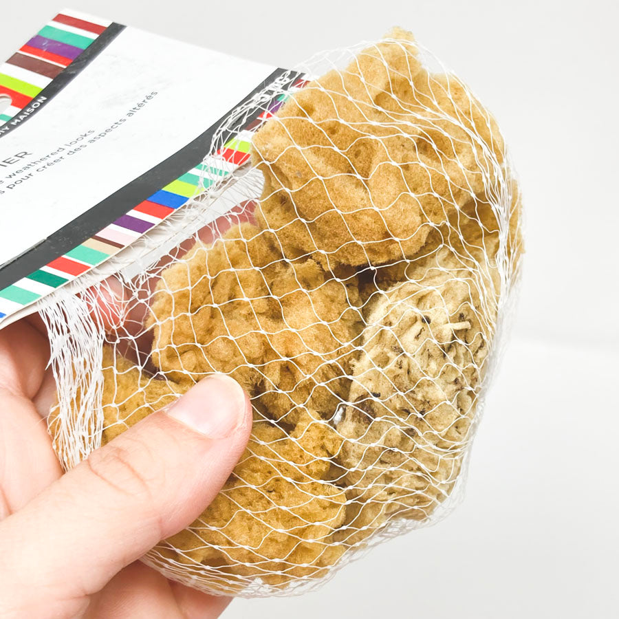 ArtMinds Sea Sponges
