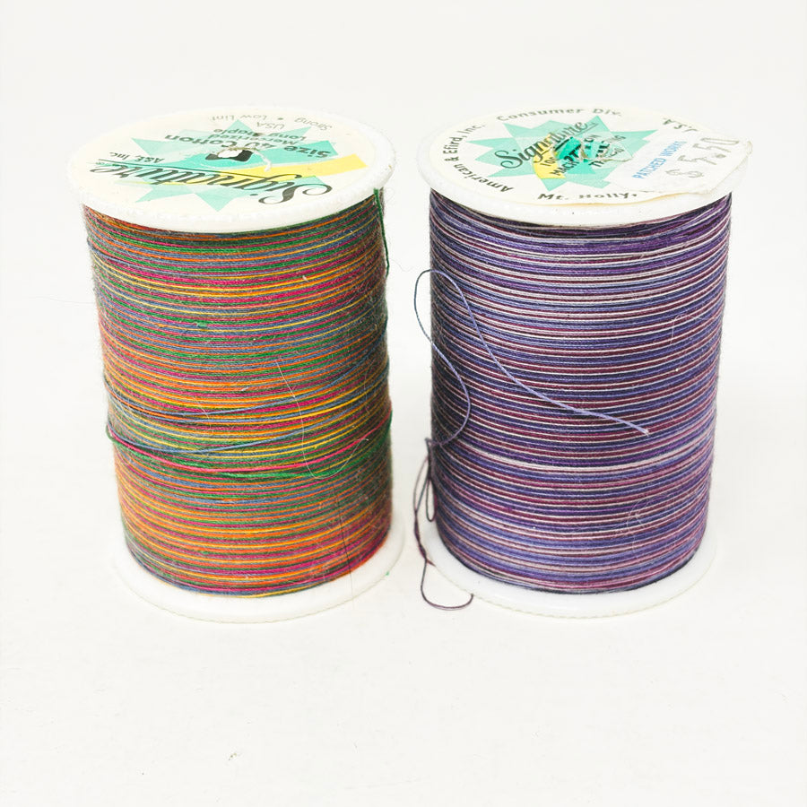 Signature Size 40 Cotton Variegated Thread (1)