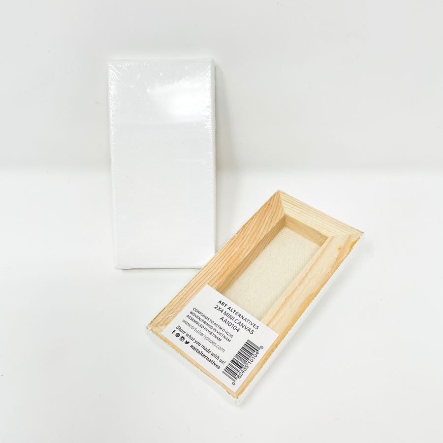 2" x 4" Art Alternatives Mini Canvas (1)