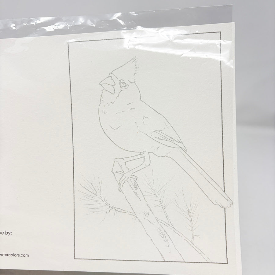 Cardinal Card and Envelope for Painting