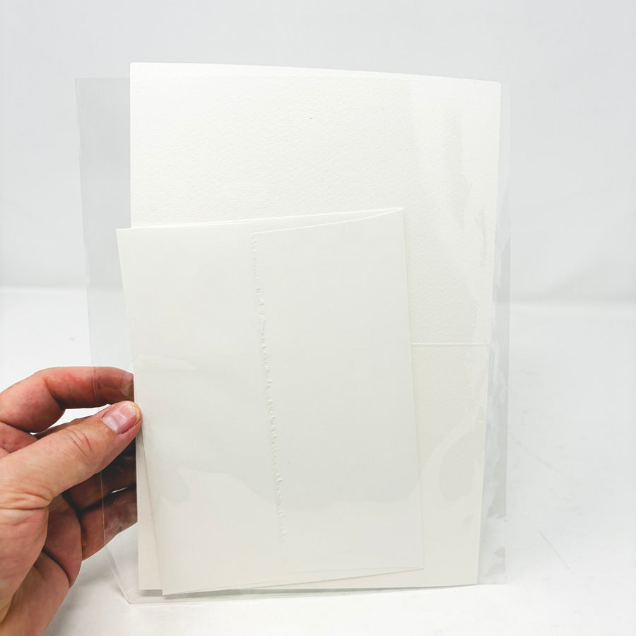 Cardinal Card and Envelope for Painting