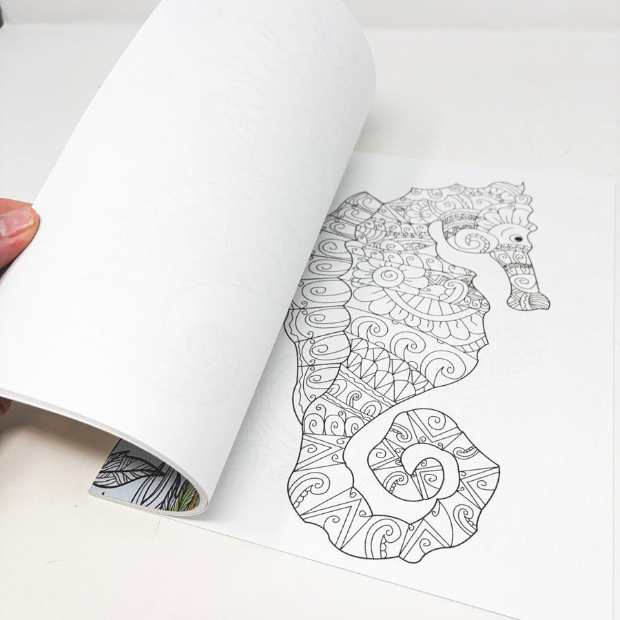 Beautiful Birds Coloring Book