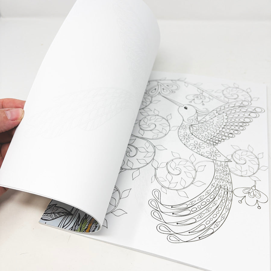Beautiful Birds Coloring Book