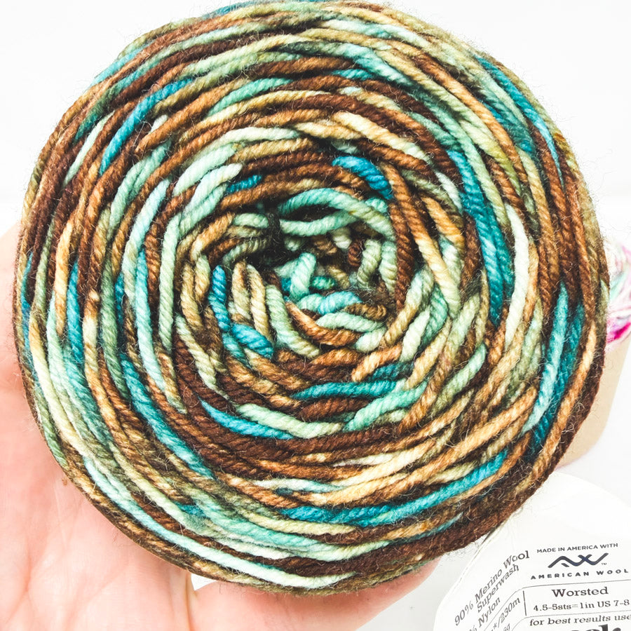 Variegated Wool/Nylon Blend Yarn Cakes (1)