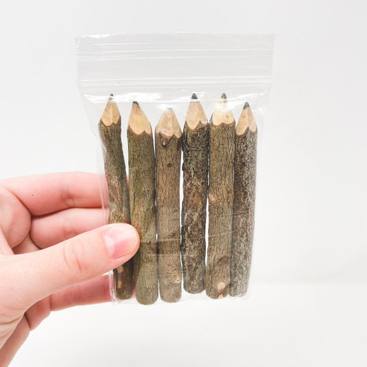 Natural Twig Pencils