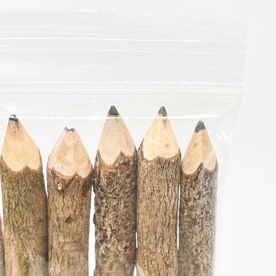 Natural Twig Pencils