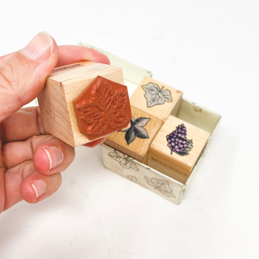 Hero Arts Grape Leaf Impressions Stamp Set