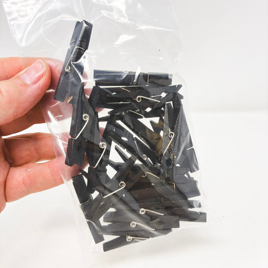 Bundle of Black Clothespins